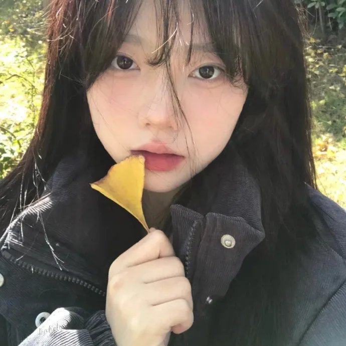 追你而来